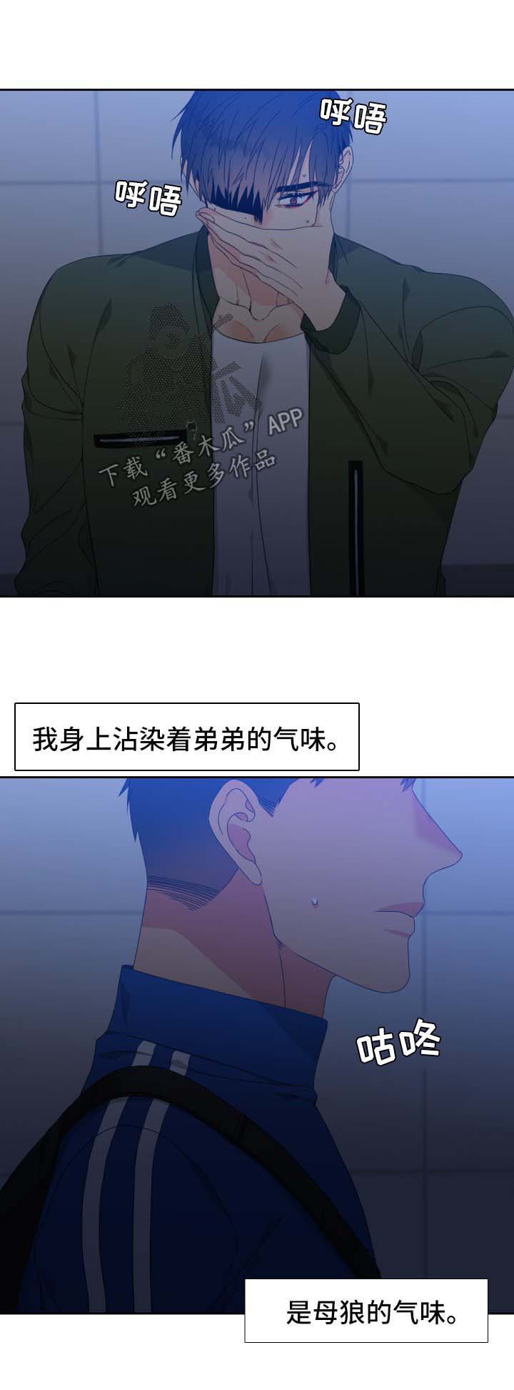 狼的香气漫画全集免费阅读下拉式漫画,第117章：【第二季】不能有失误1图