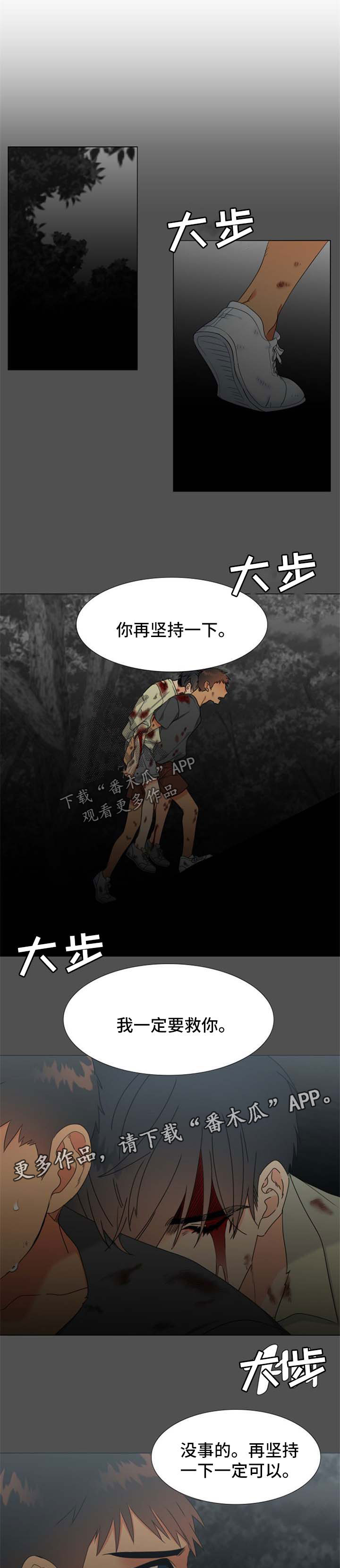 狼的香气禾谷孕吐多少集漫画,第211章：【第二季】不是我可以觊觎的人1图