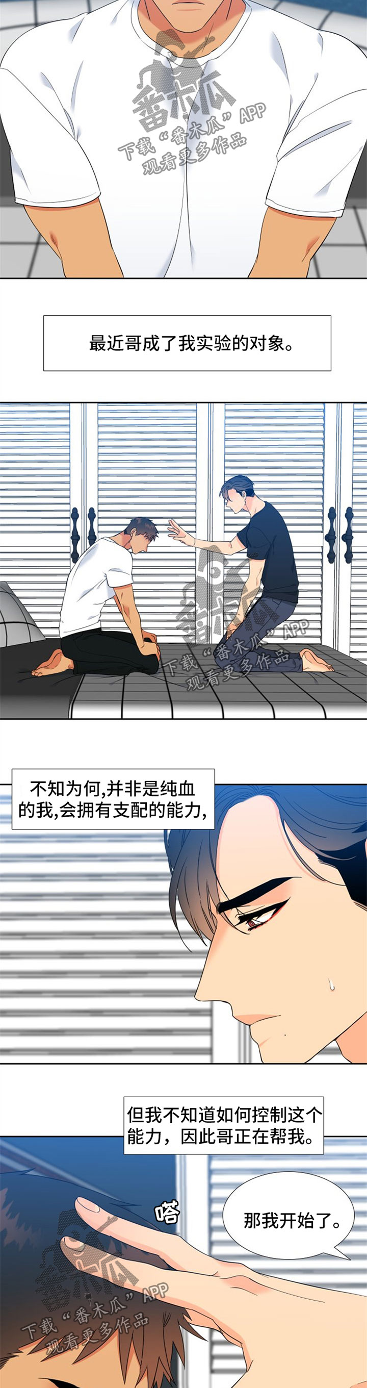 狼的肉人可以吃吗漫画,第237章：【第二季】下一任狼族首领2图