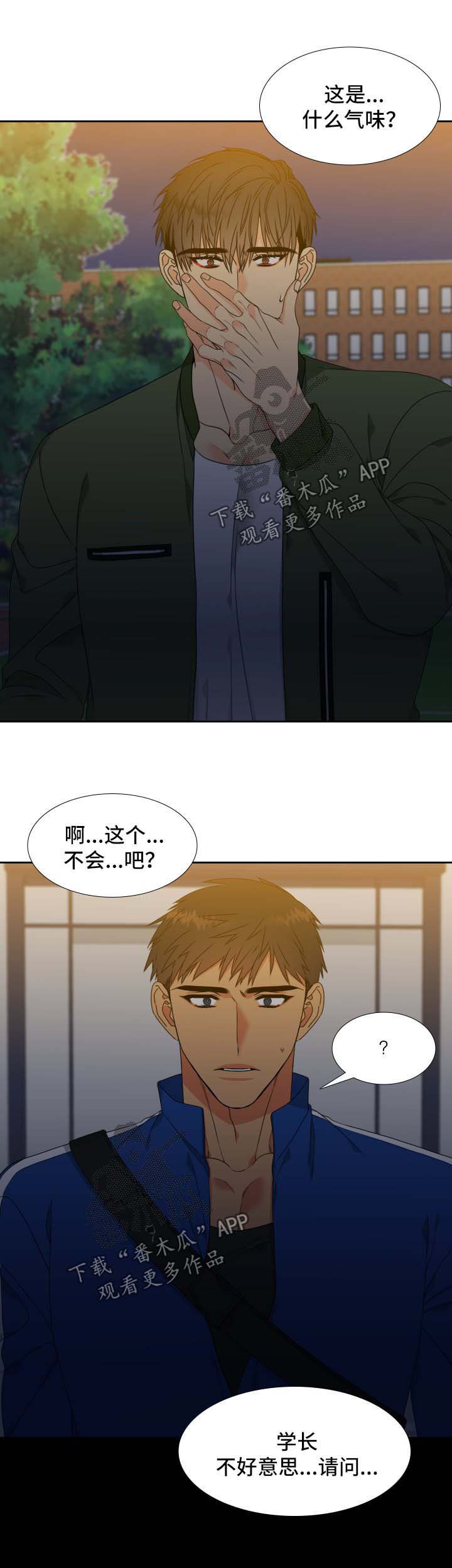 狼的香气易禾怀孕在哪集漫画,第116章：【第二季】机会1图