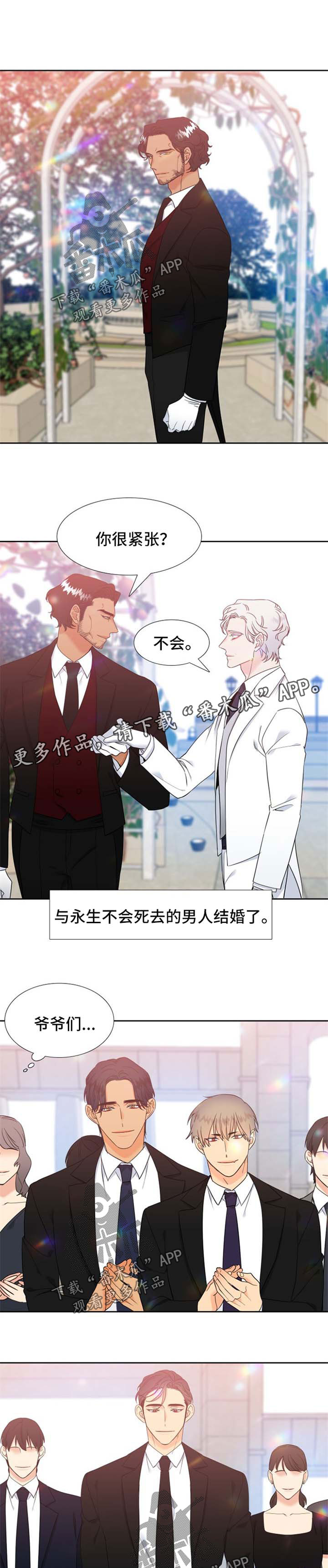 狼的香气11漫画,第250章：【第二季】他们的婚礼【完结】1图