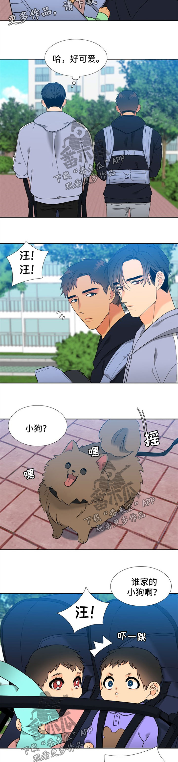 狼的香气\/血缘纽带漫画第221话漫画,第239章：【第二季】狗2图