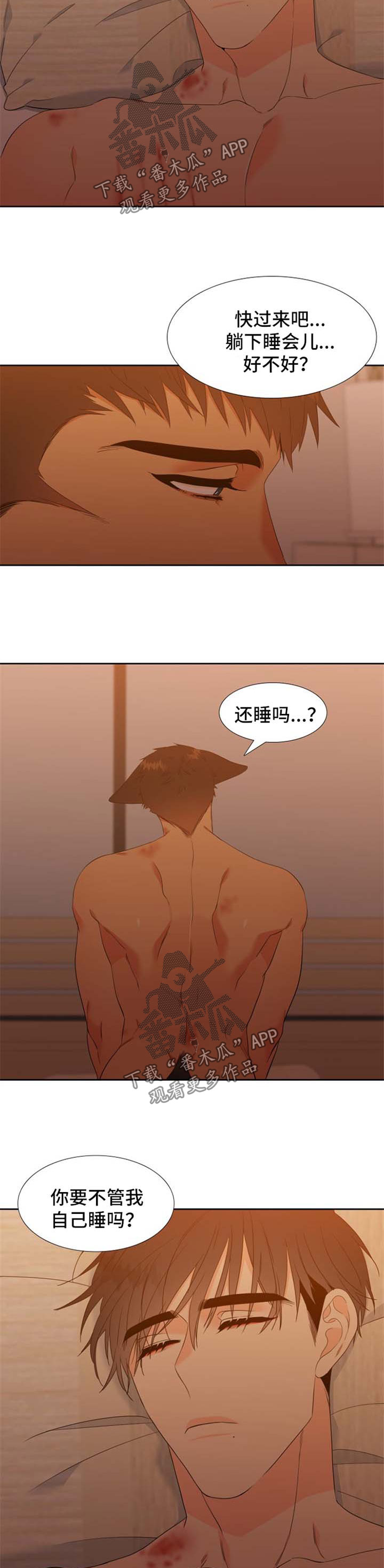 狼的香气txt漫画,第161章：【第二季】守护骨肉1图