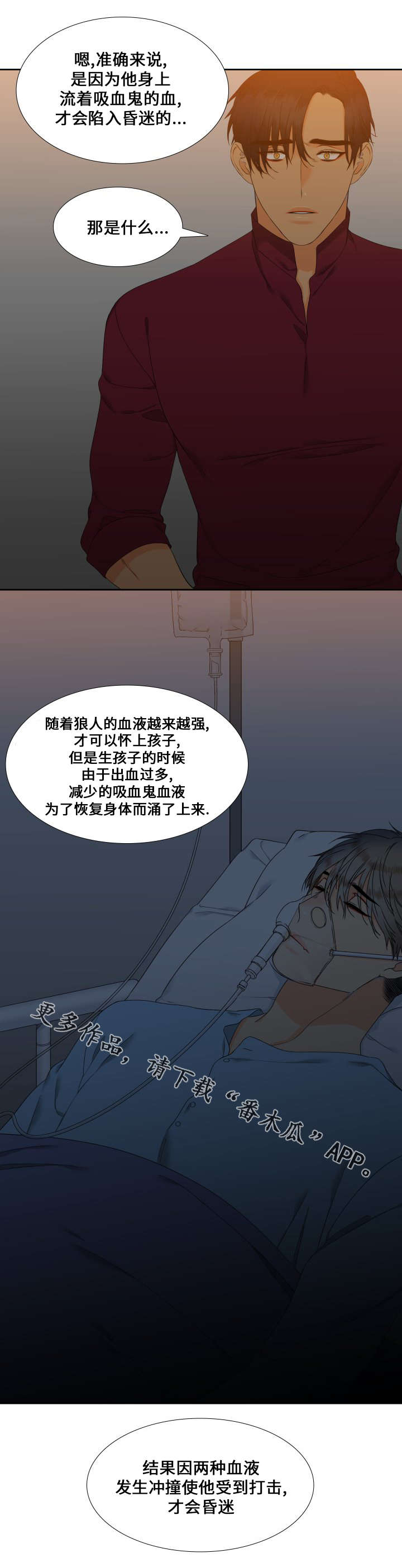 狼的香气\/血缘纽带漫画第221话漫画,第89章：昏迷1图