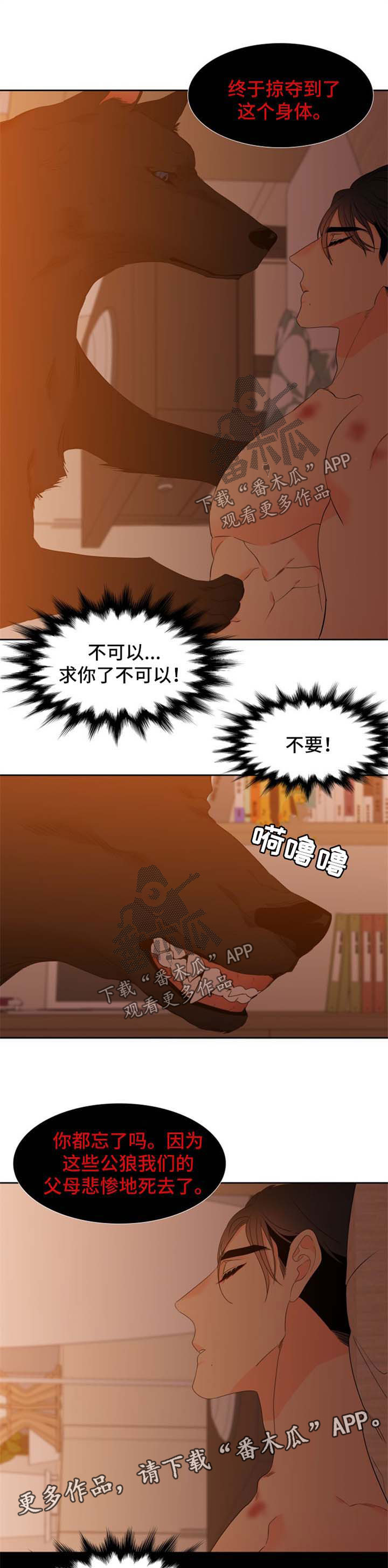 狼的香气txt漫画,第161章：【第二季】守护骨肉1图