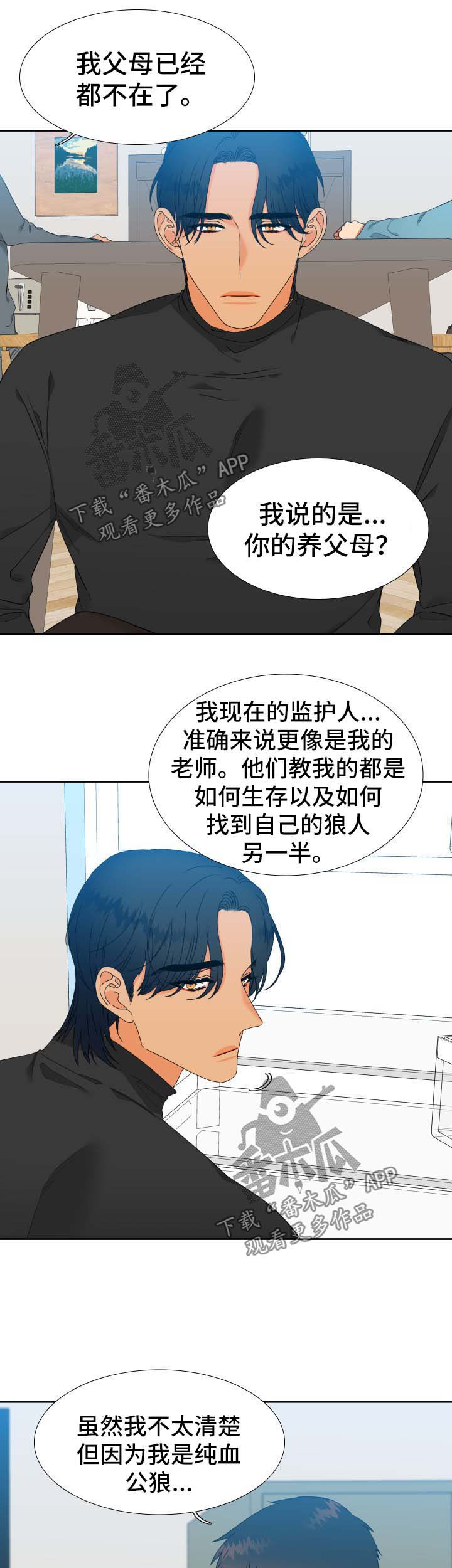 狼的香气/血缘纽带漫画第221话漫画,第145章：【第二季】捏造记忆1图