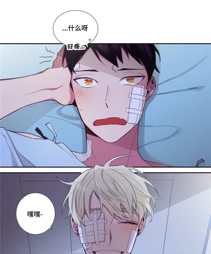 第三人群是指哪些人漫画,第48章：我喜欢你1图
