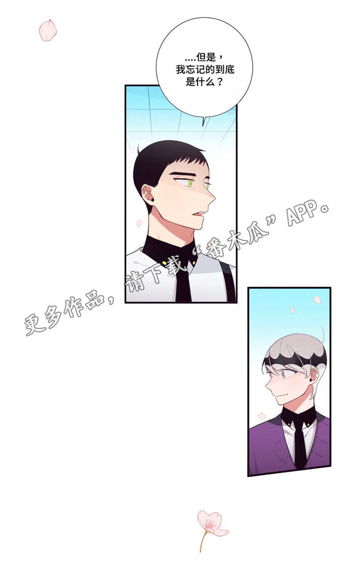 第三人群是指哪些人漫画,第98章：幸福2图