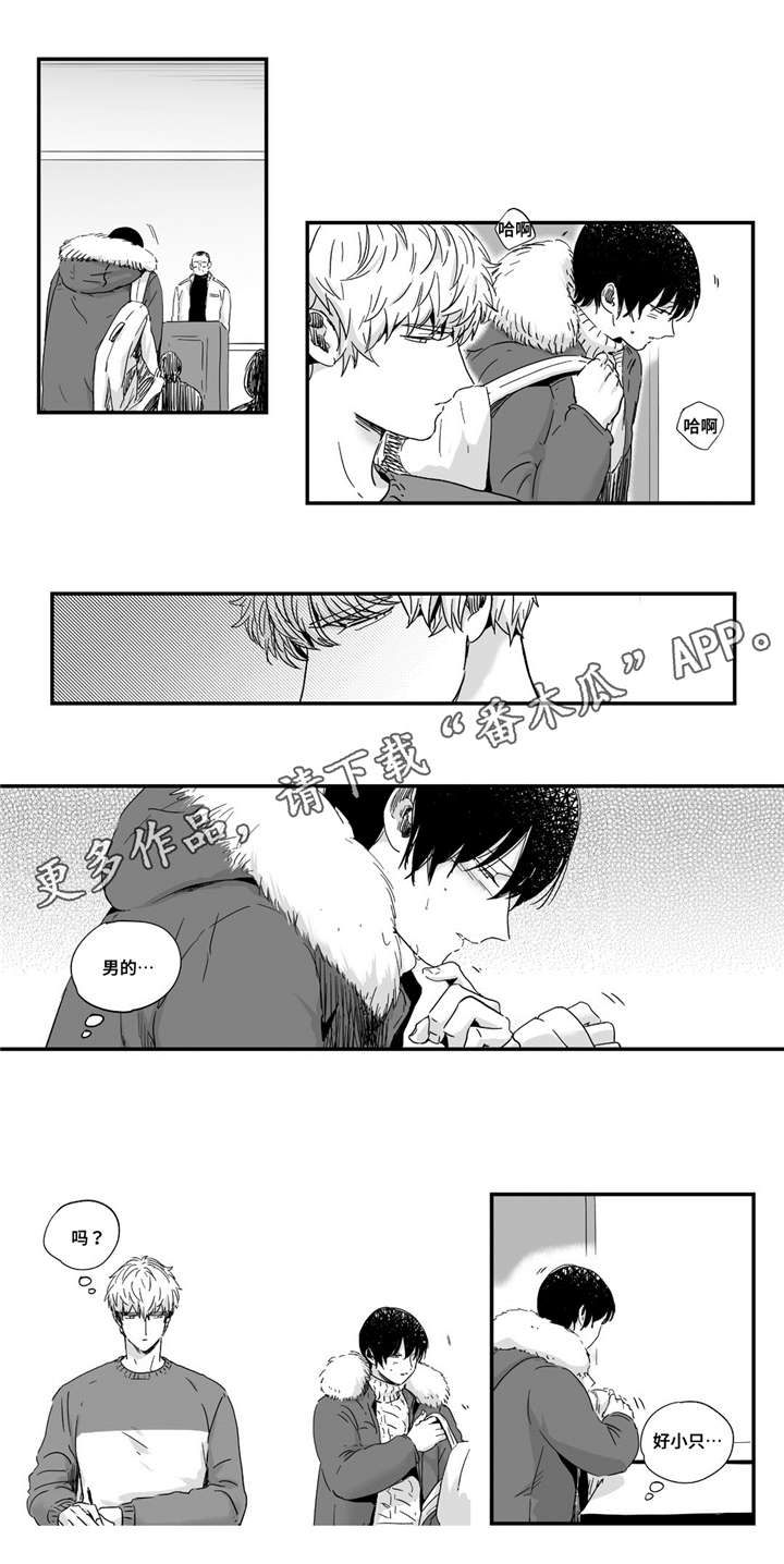 目击过后/如此讨厌我的话漫画,第22章：谨慎2图