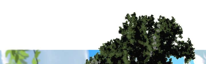 黑桃a是什么酒多少钱一瓶漫画,第32章：爱得疯狂1图