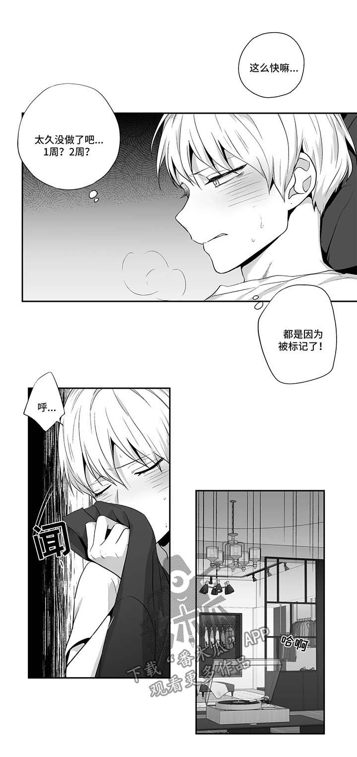 不枉此生入华夏漫画,第123章：【第二季】惊人发现2图