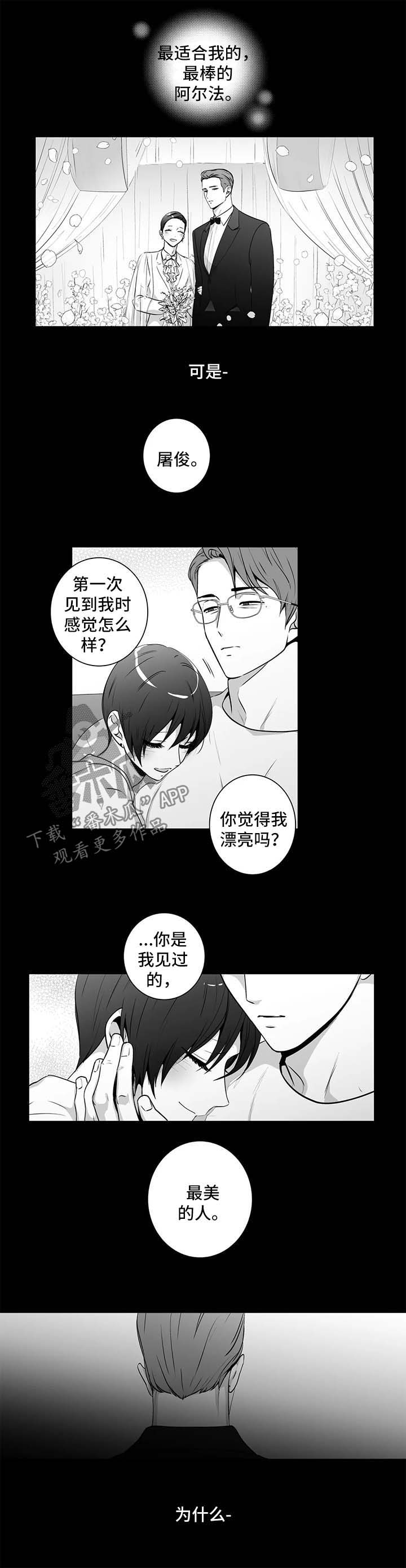 不忘此生阿yue漫画,第153章：【第二季】短信1图