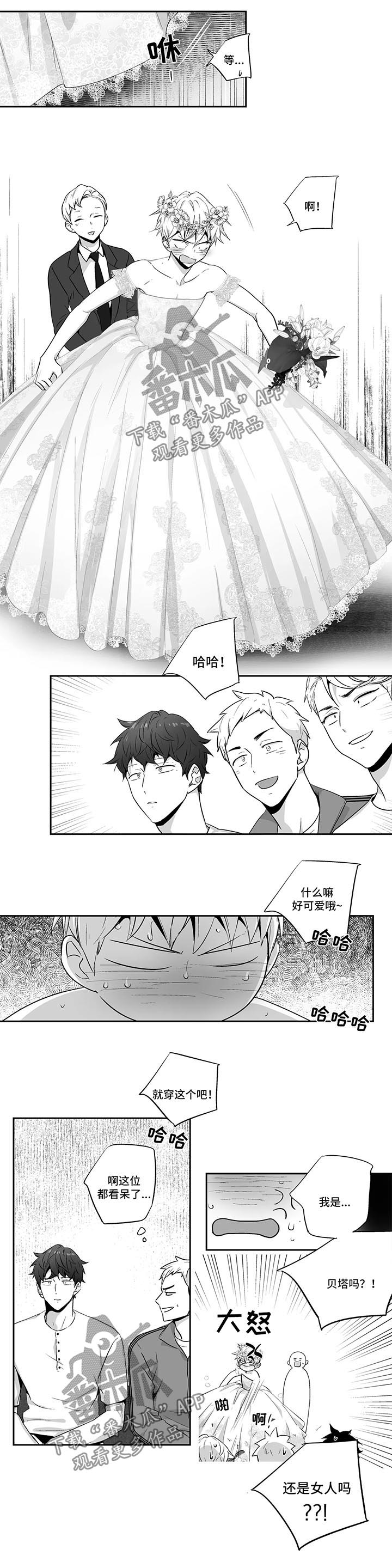 不妄此生与不枉此生漫画,第103章：【第二季】婚礼1图