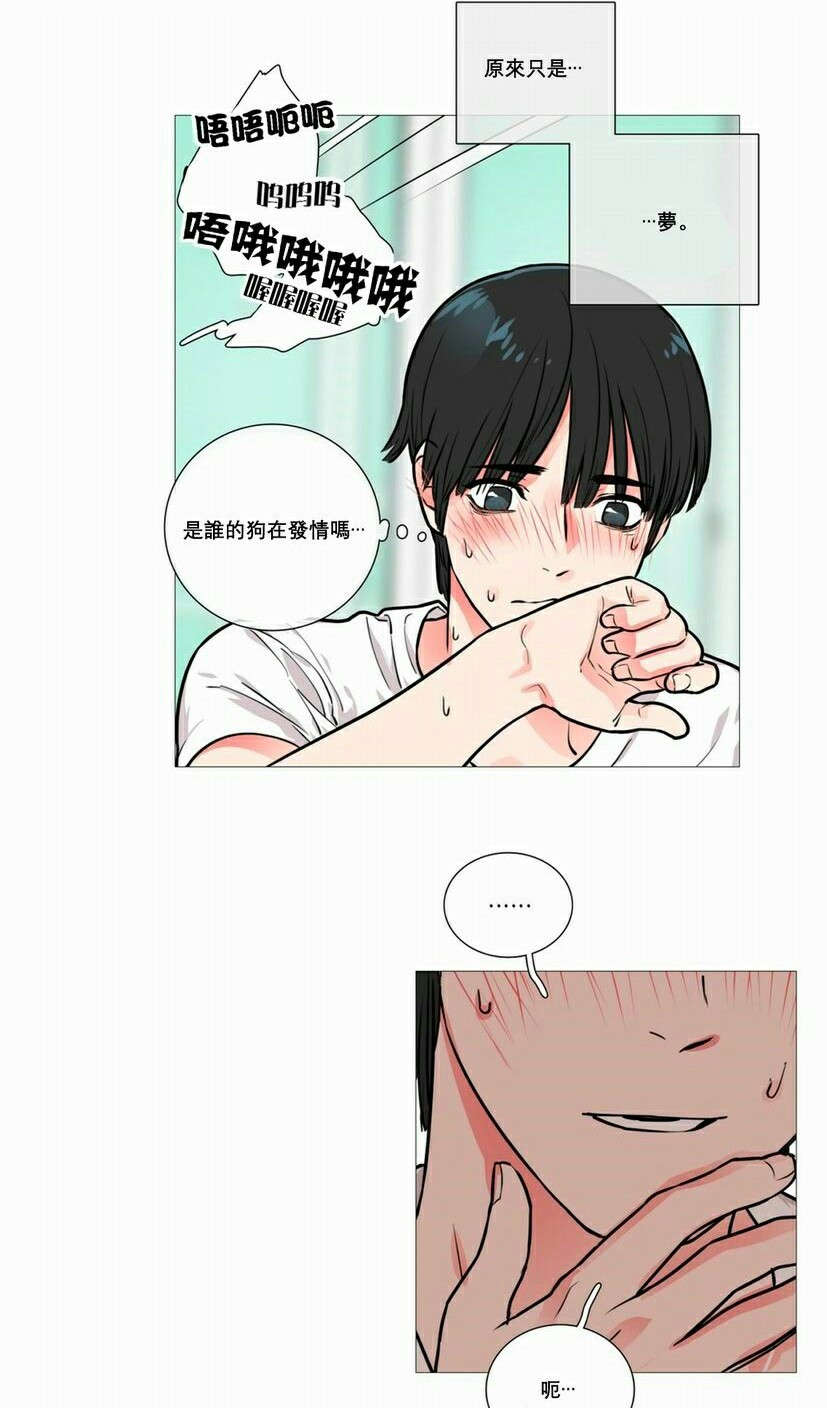 听命成语四字成语漫画,第14章：奇怪装束1图