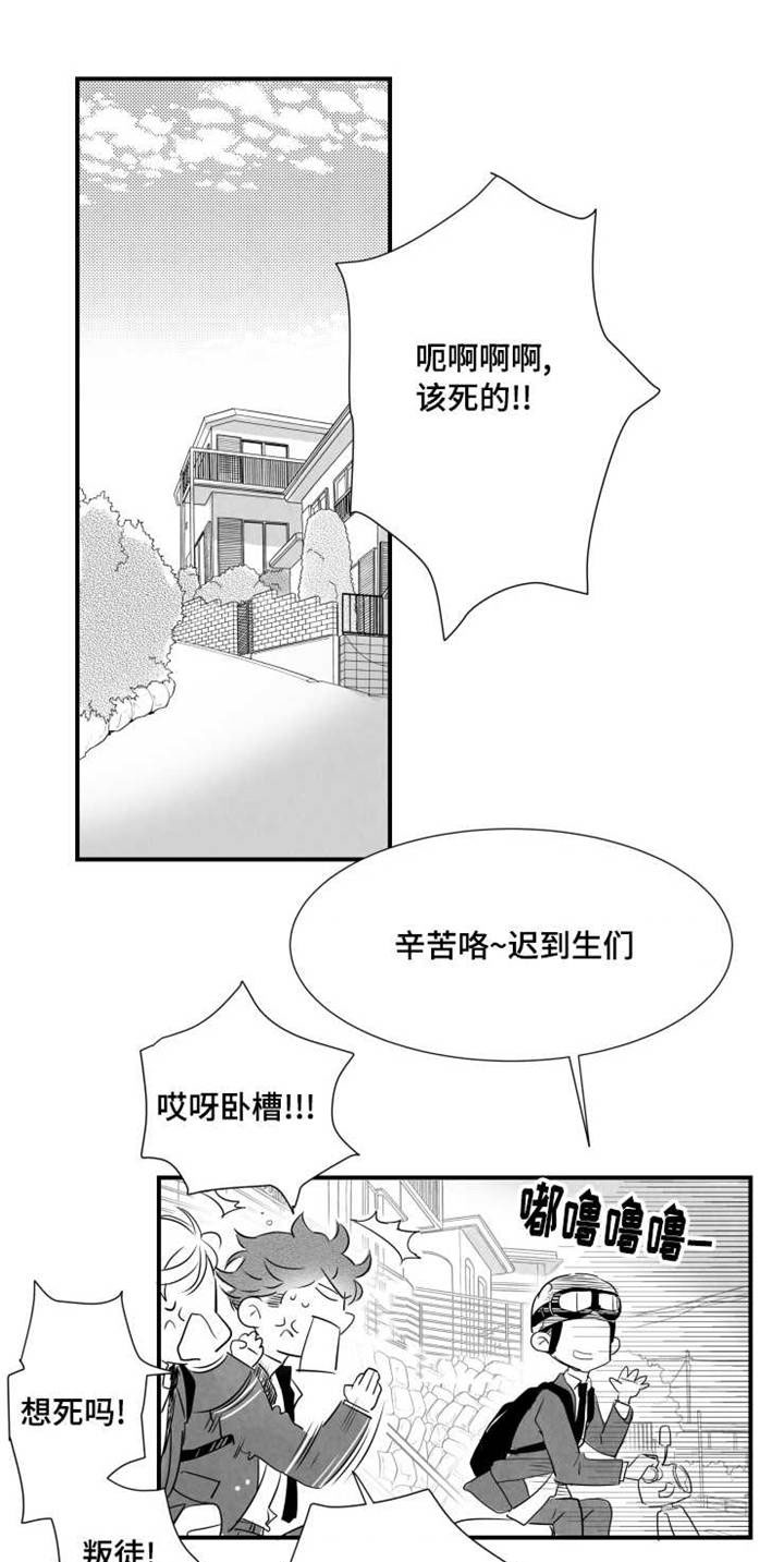 追星只能远观而不可近触漫画,第42章：告白1图