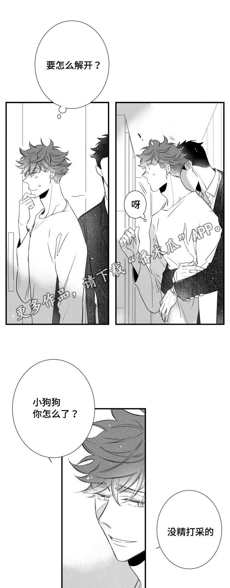 踮起脚尖触近阳光漫画,第95章：盖上印章1图