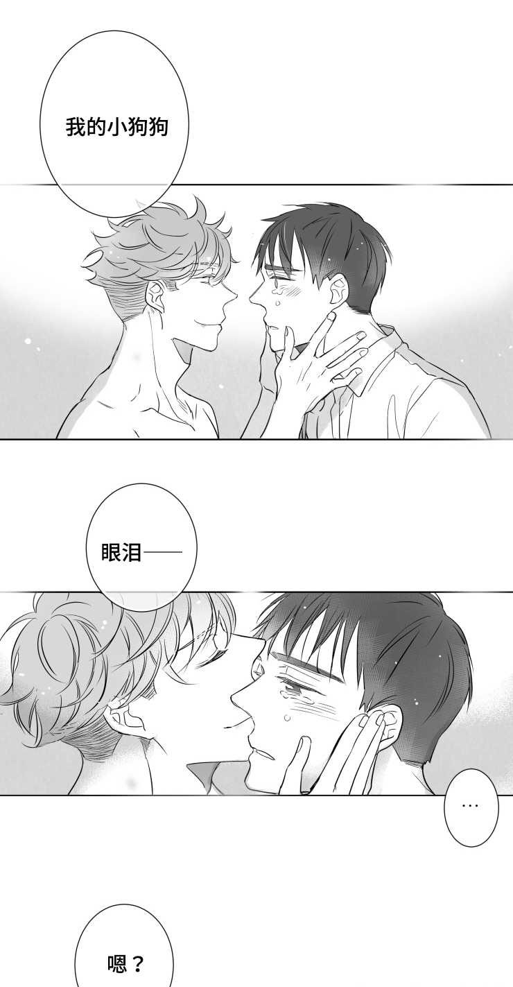 触近义词的是什么漫画,第86章：小鹿乱蹿1图