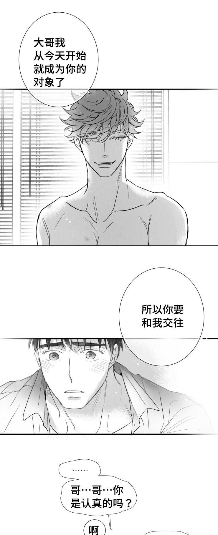 踮起脚尖触近阳光漫画,第85章：没有退路1图