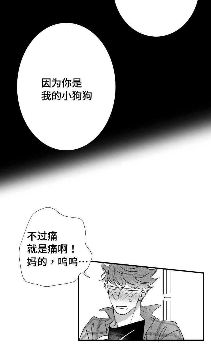 可远观而不可近触漫画,第96章：摆脱2图