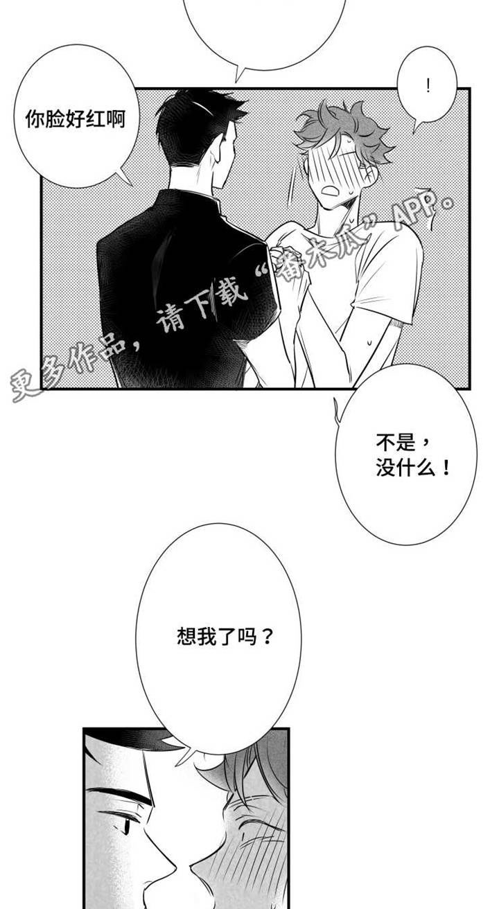 刺激鱼开口的特效药漫画,第63章：不要找别人2图