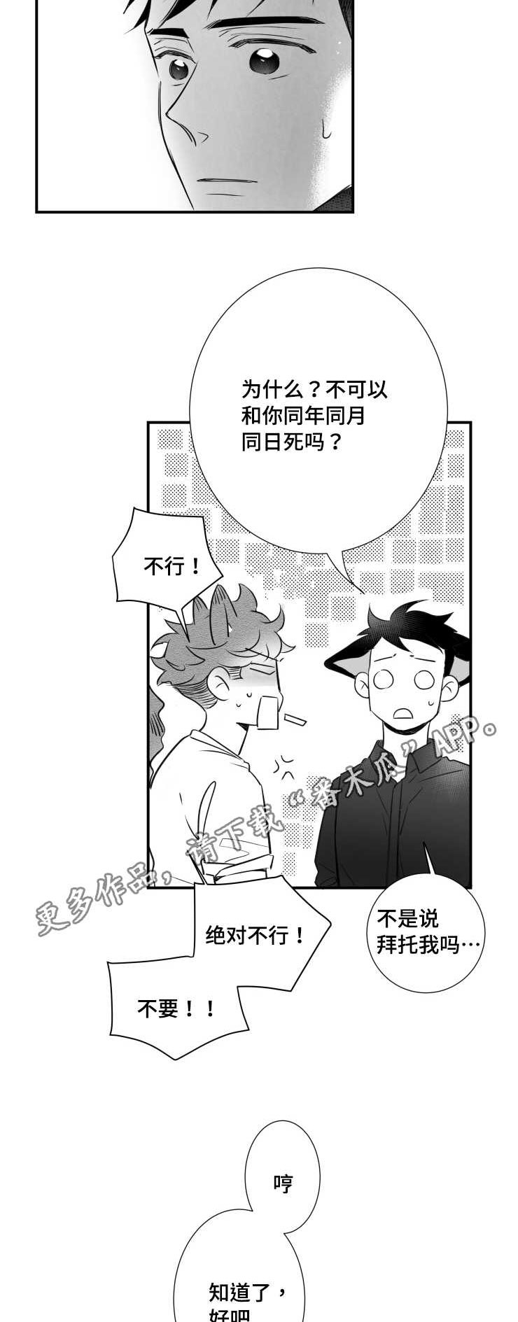 触近的意思漫画,第81章：不要死在我面前1图