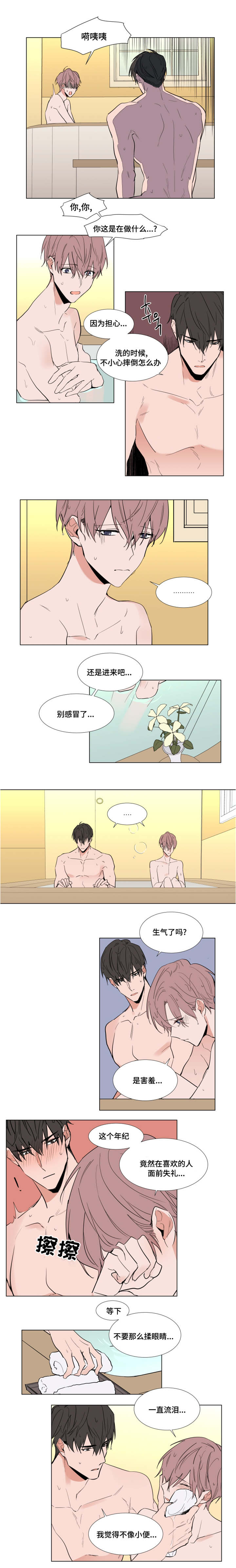 植物效应70集网盘漫画,第53章：礼物2图