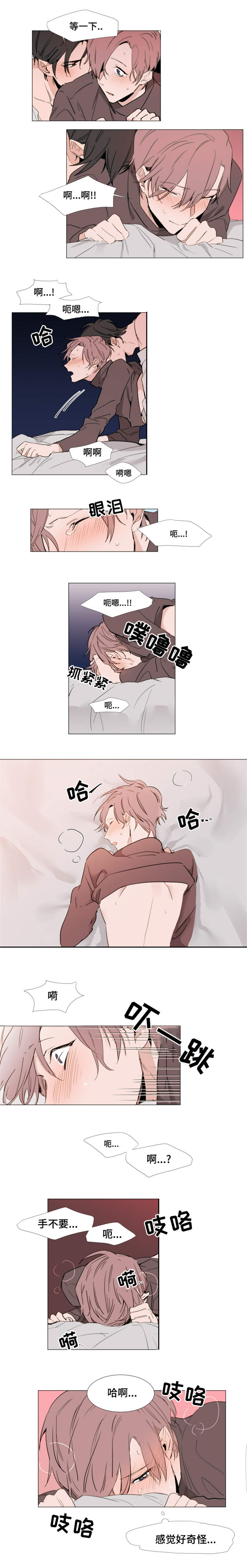 植物效应70集网盘漫画,第16章：草莓2图
