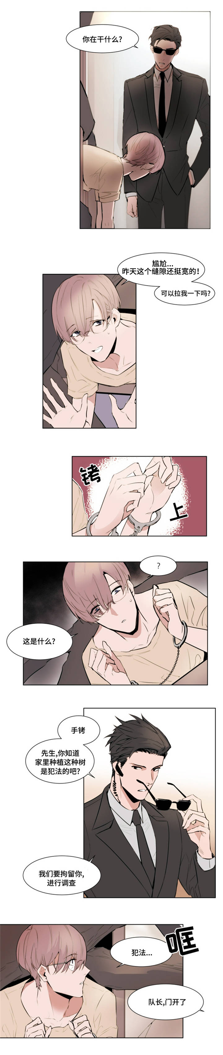 植物效应70集网盘漫画,第1章：报警2图