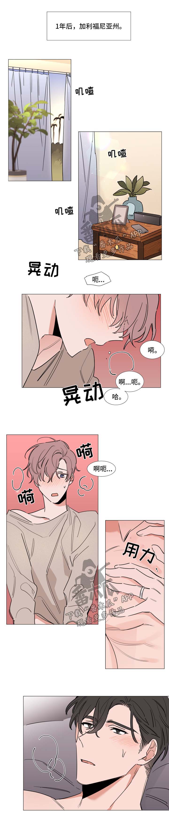 植物大战僵尸卡片漫画,第83章：体力不错1图