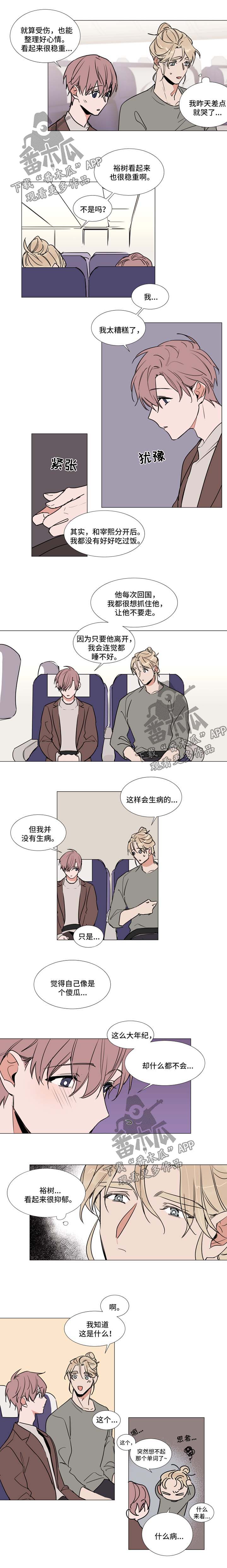 植物效应70集网盘漫画,第75章：起飞1图