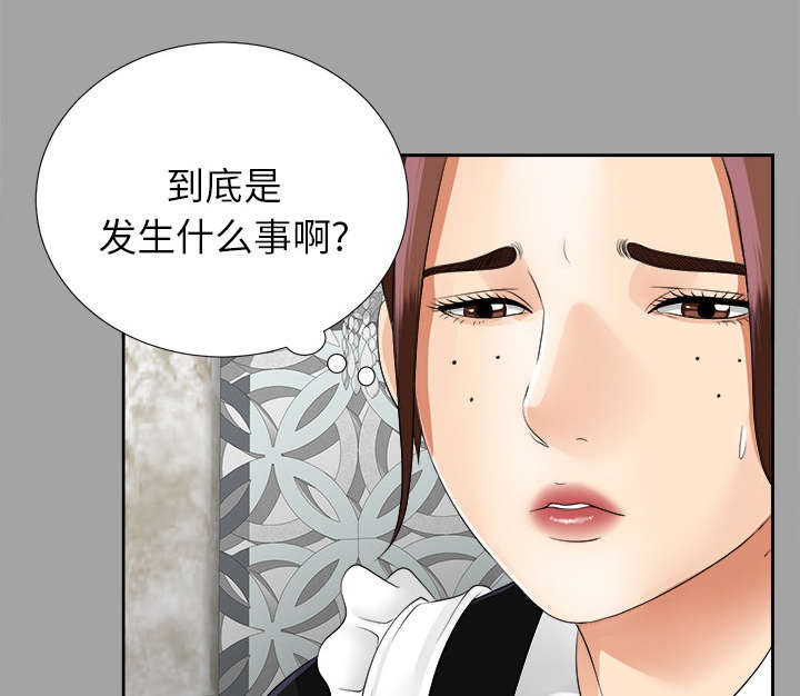 泰山的遗产漫画,第35章：汇报2图