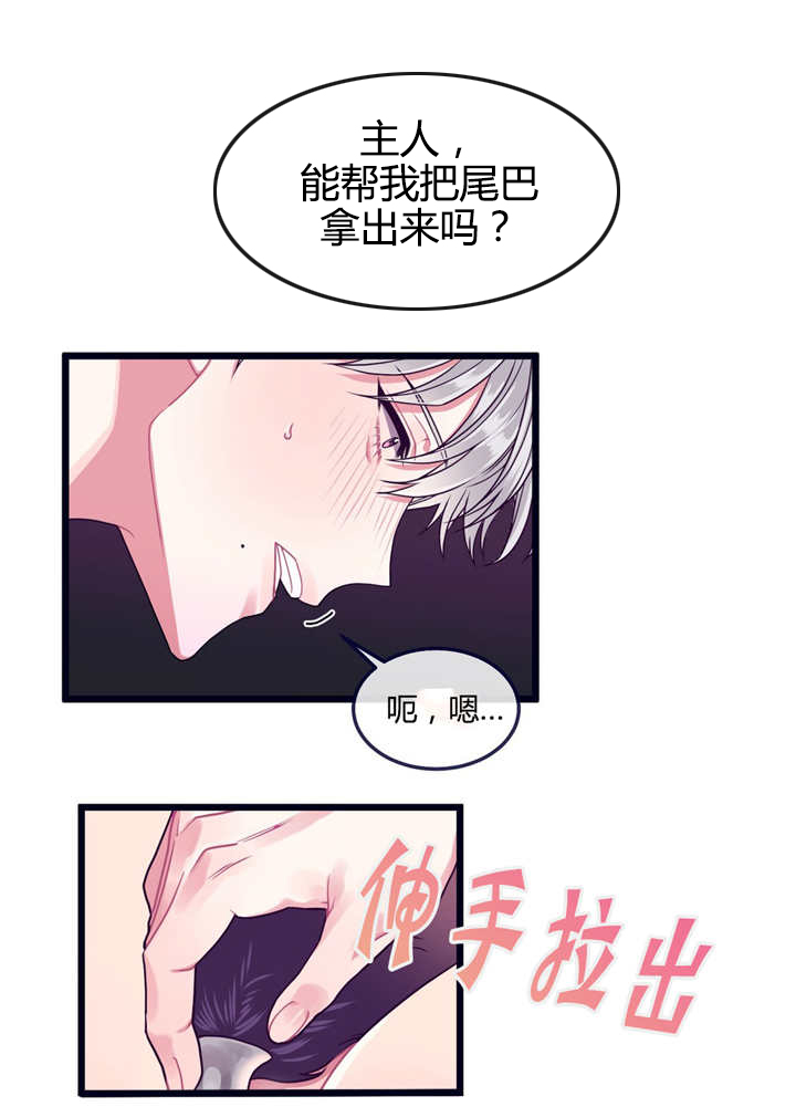 萌犬小白漫画下拉式免费六漫画漫画,第23章：被牵着走1图