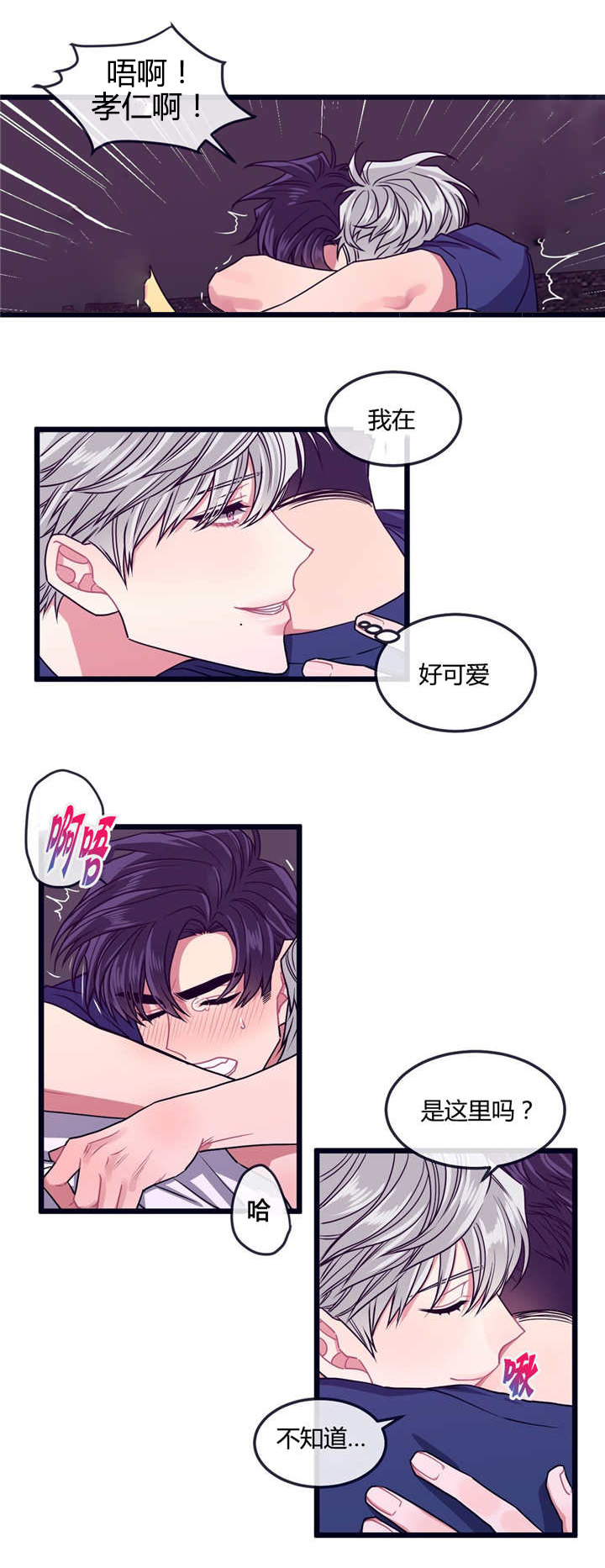 萌犬旺旺大号漫画,第13章：是这里吗1图