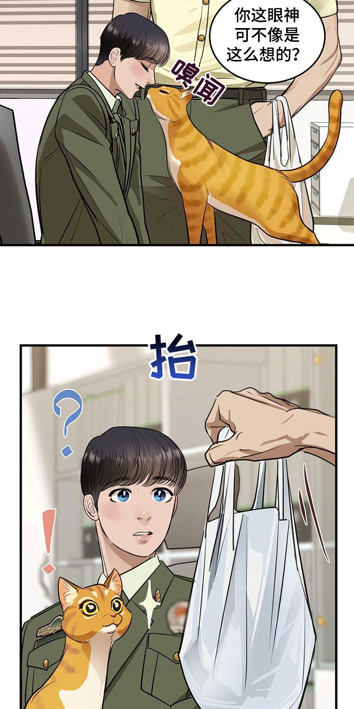 镜子里的陌生人免费观影漫画,第29话1图
