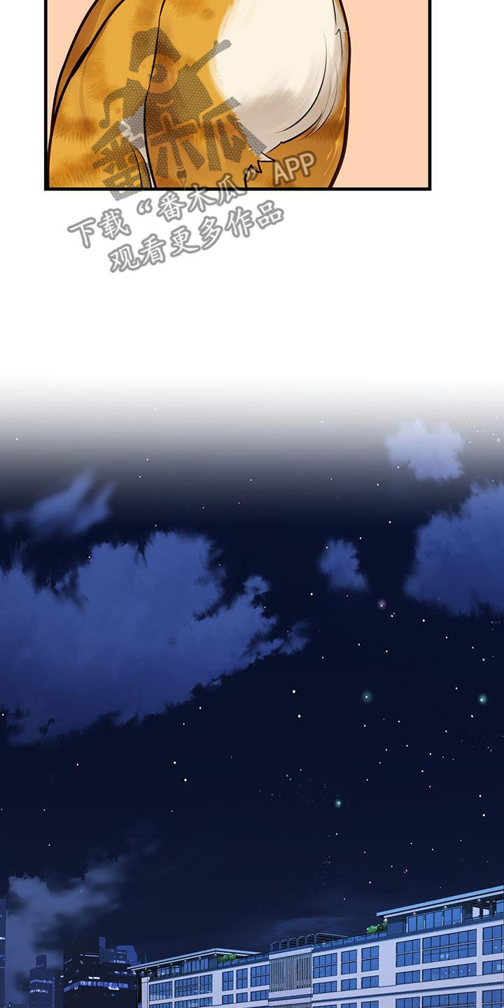 镜子里的陌生人免费观影漫画,第29话1图