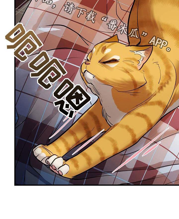 镜子里的陌生人免费观影漫画,第30话1图