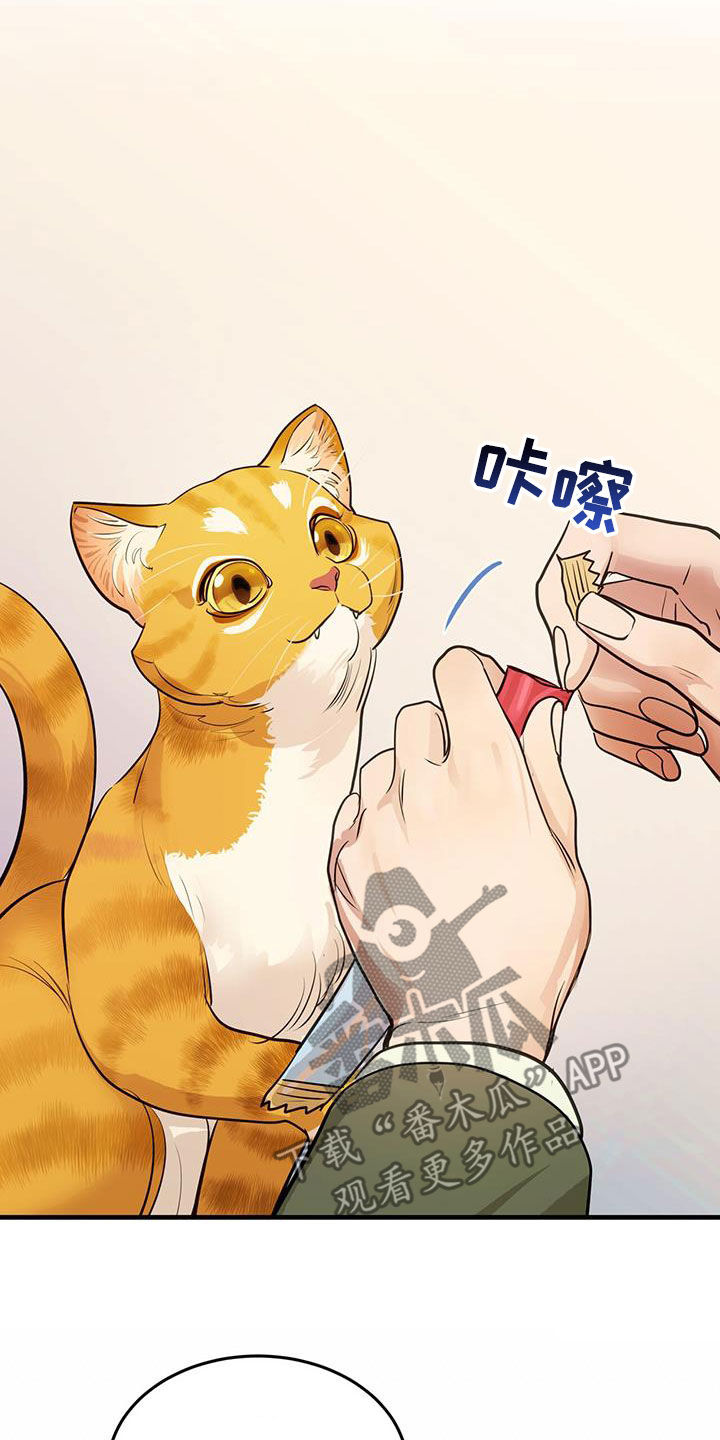 镜子里的陌生人免费观影漫画,第29话2图
