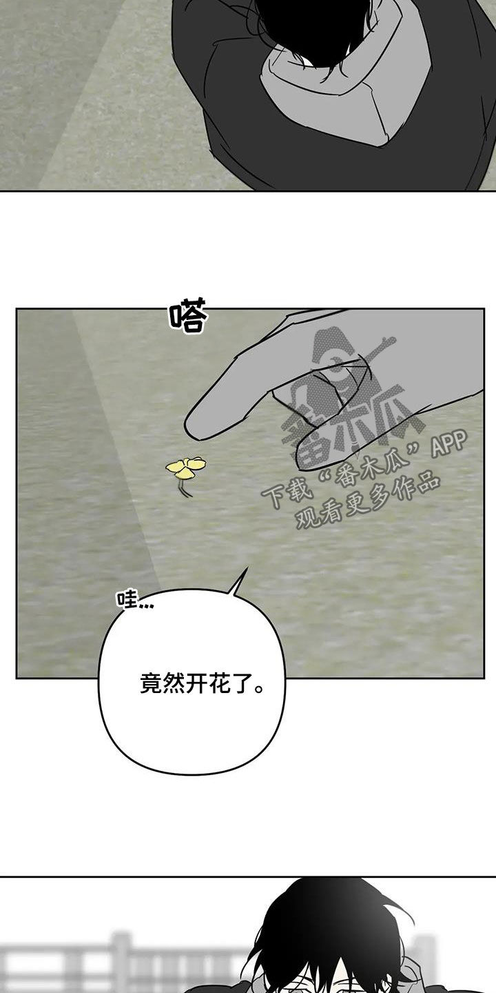 孽缘在线免费观看漫画,第84话2图
