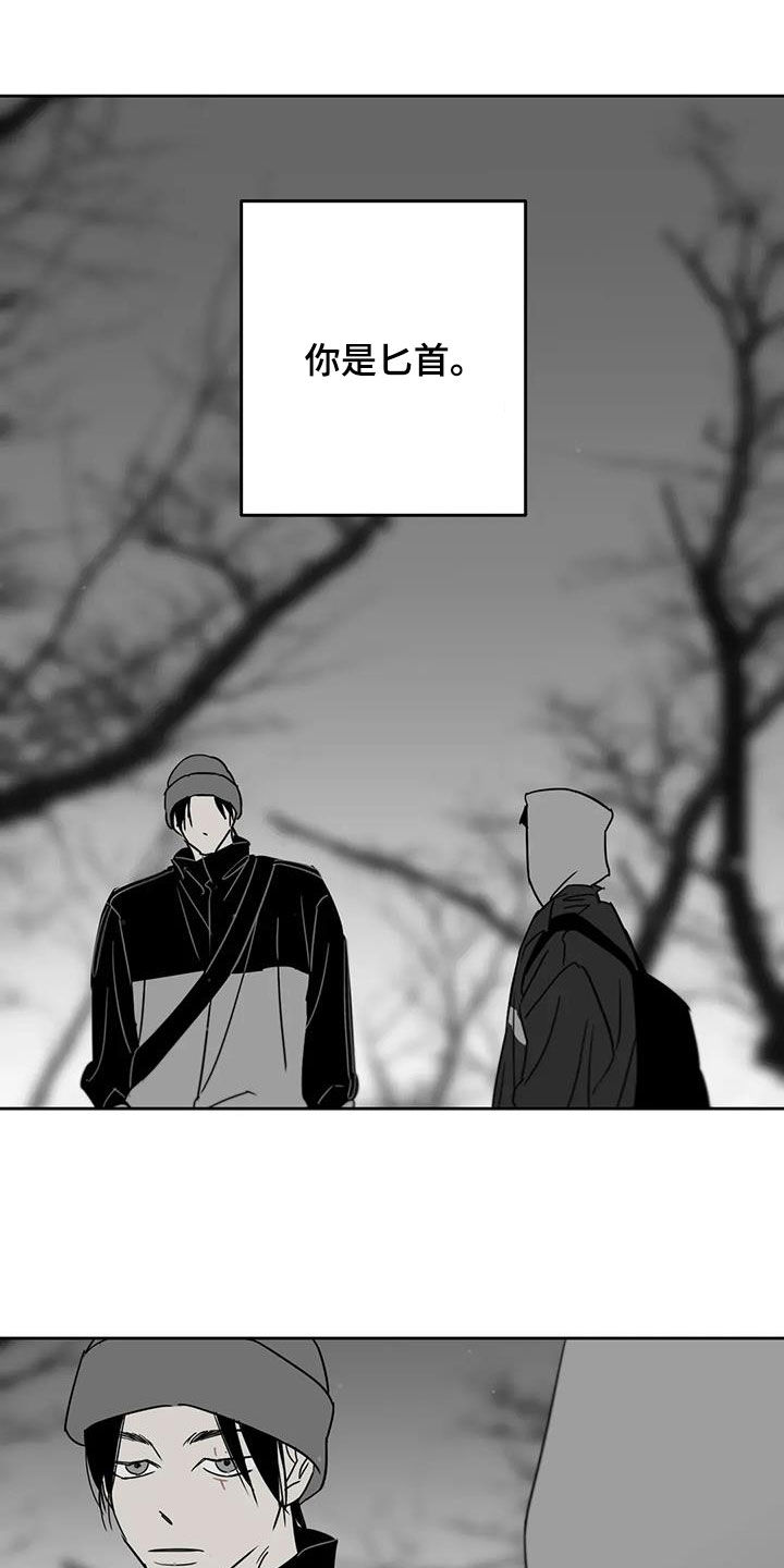孽缘在线免费观看漫画,第76话1图