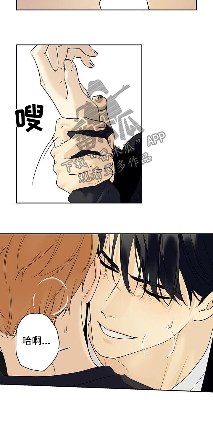 给我全部的爱小说免费阅读漫画,第81话2图