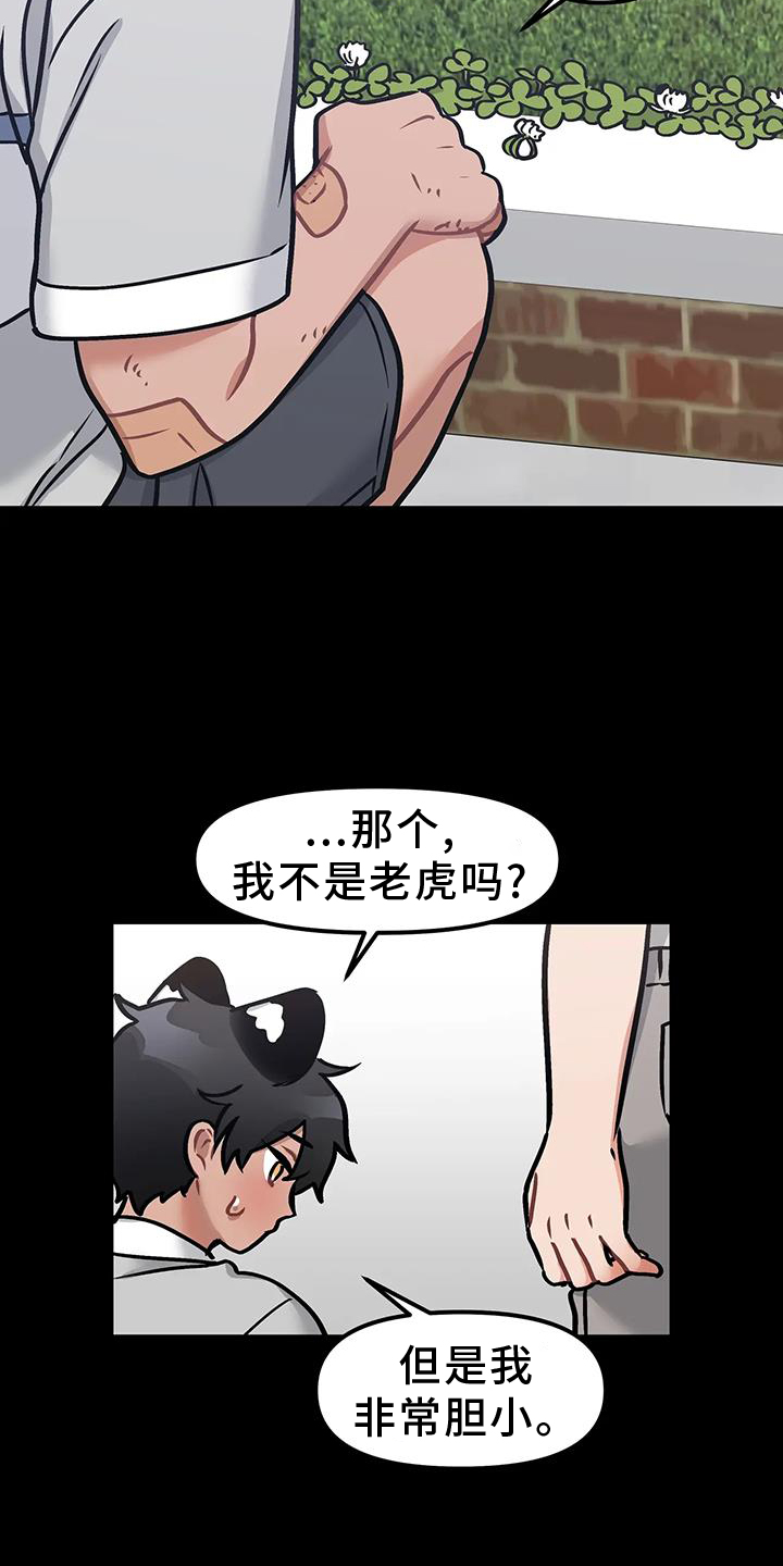 胆怯的老虎动画片漫画,第15章：不应该等待1图