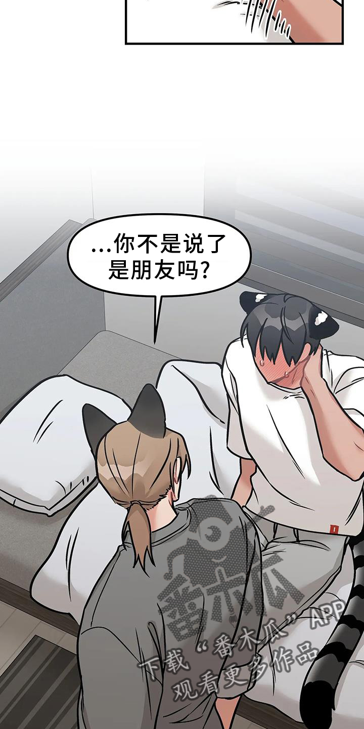 胆怯的老虎漫画免费阅读下拉式漫画,第14章：质问2图