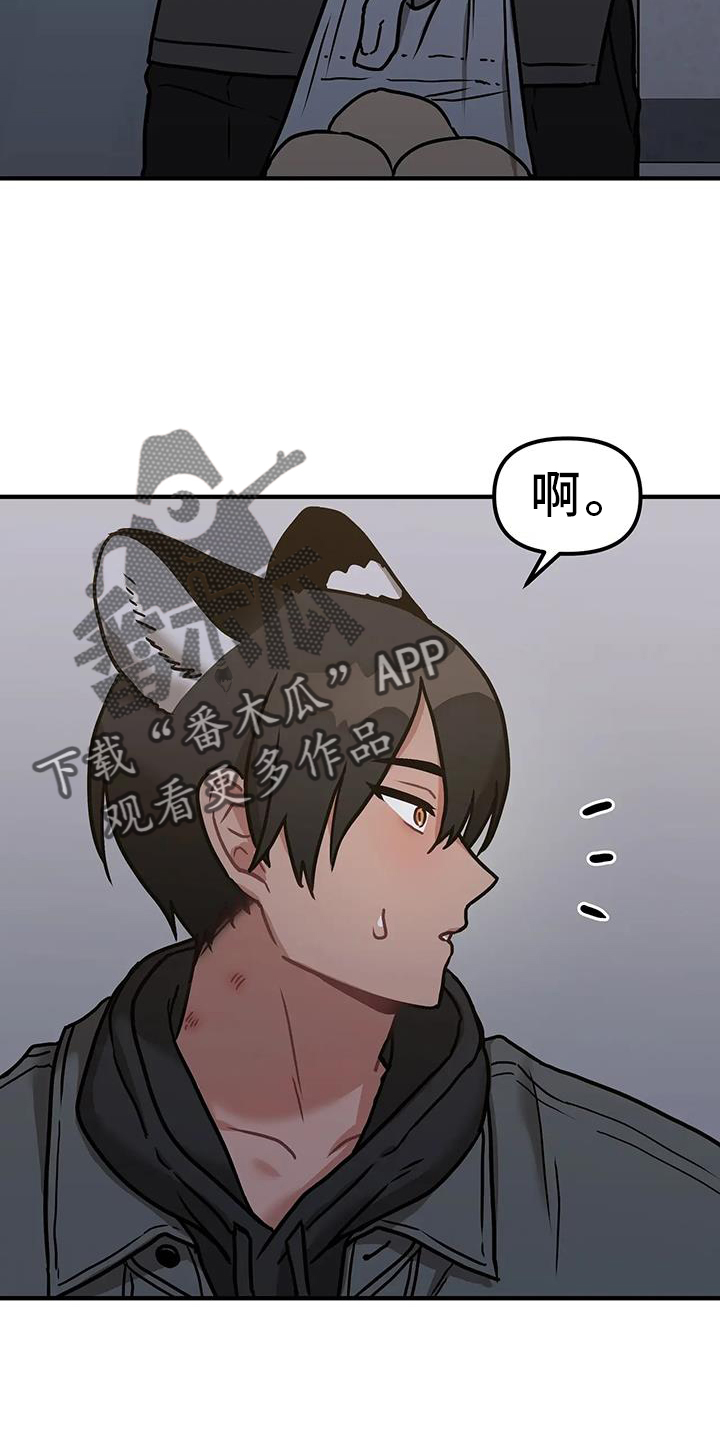 胆怯的老虎百度网盘漫画,第14章：质问2图