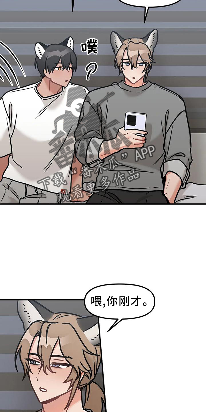 胆怯的老虎漫画免费阅读下拉式漫画,第14章：质问2图