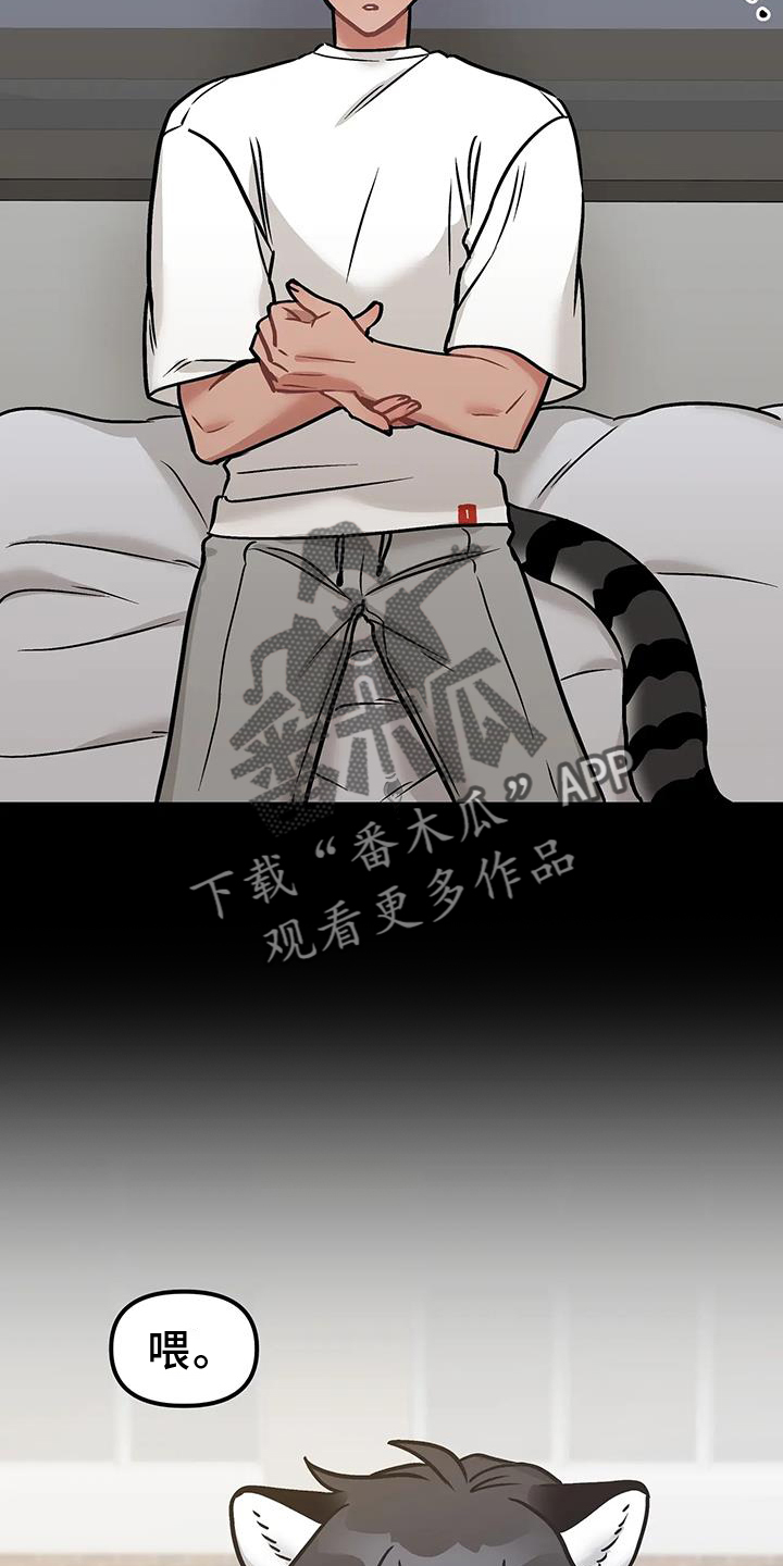 胆怯的老虎漫画全文阅读漫画,第15章：不应该等待2图