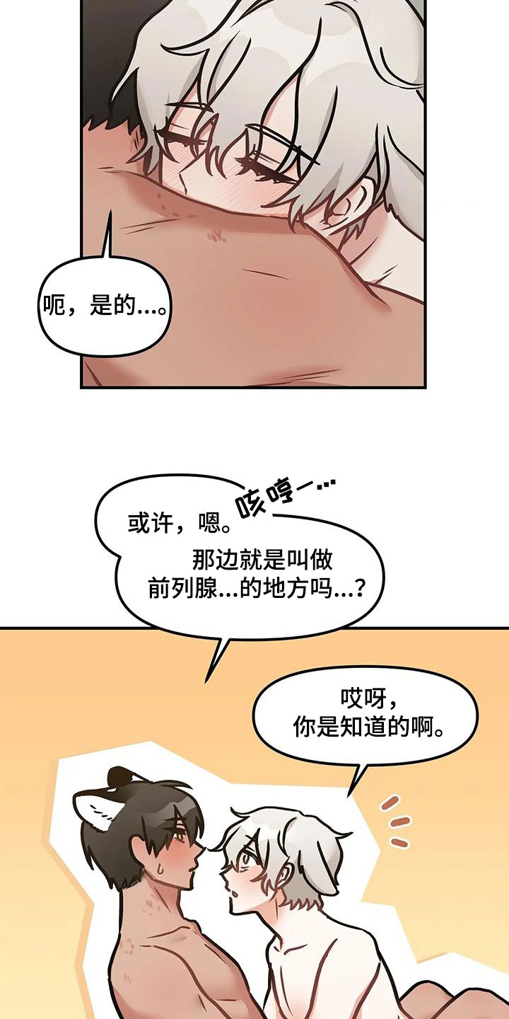 胆怯的老虎韩漫漫画,第18章：学到的东西2图