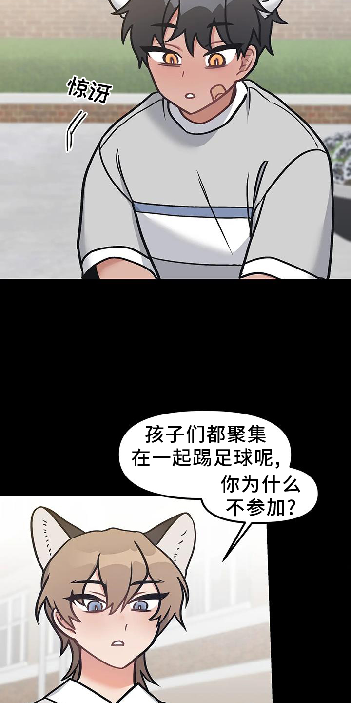 胆怯的老虎完结了吗漫画,第15章：不应该等待1图