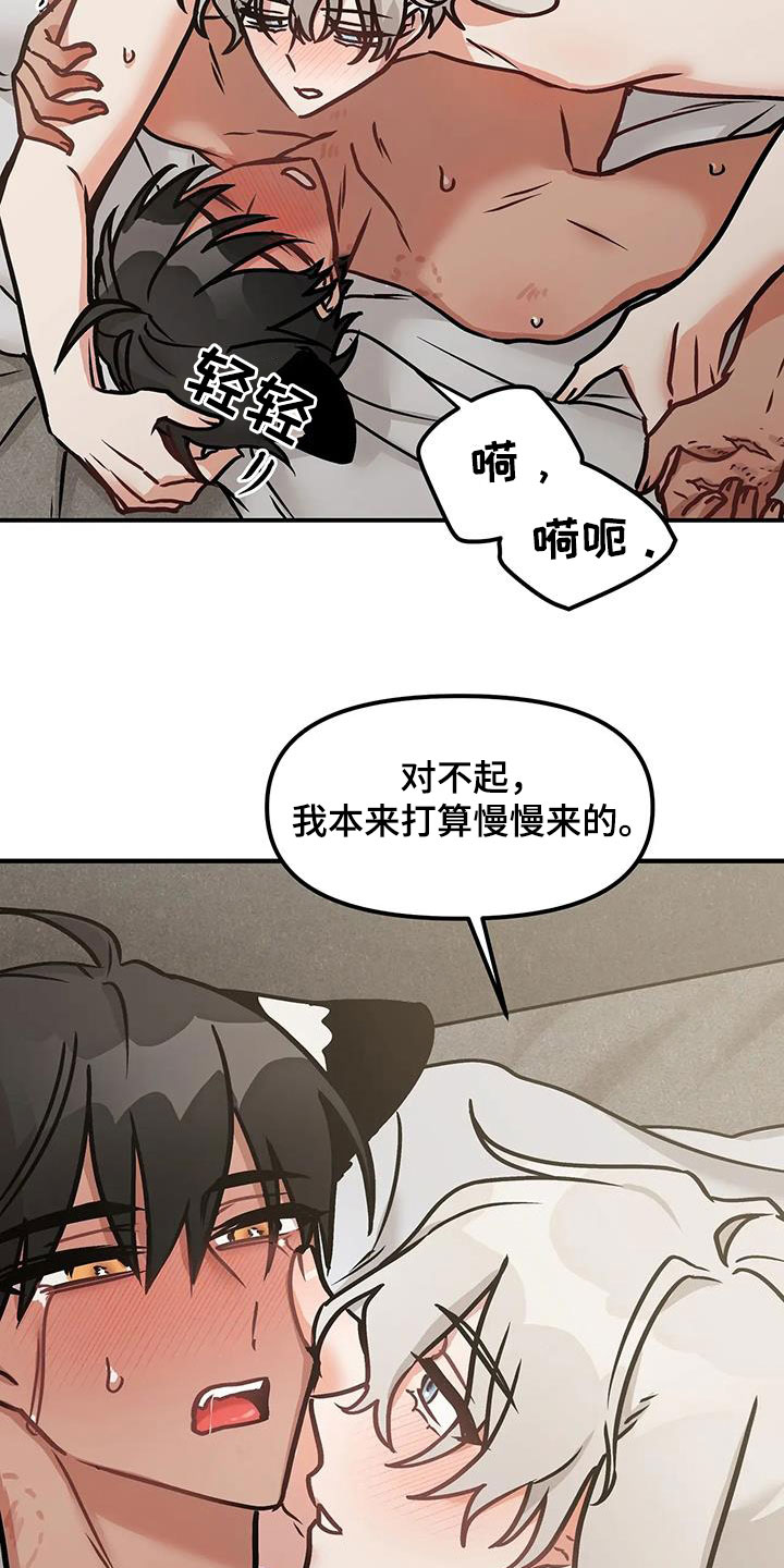 胆怯的老虎什么时候更新漫画,第19章：一个问题2图