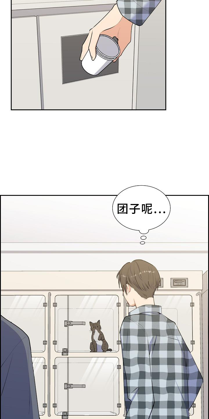 再相会漫画,第44话1图