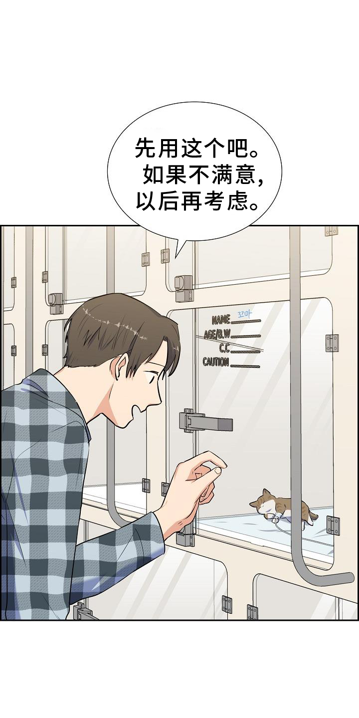 再相会漫画,第44话1图